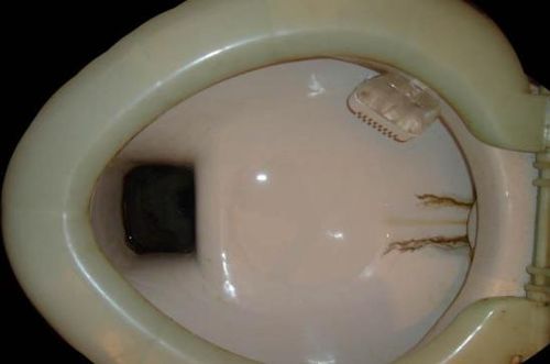 unitaz_za_paru_minut_03